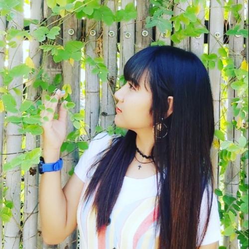 สมาชิกหมายเลข 5161323