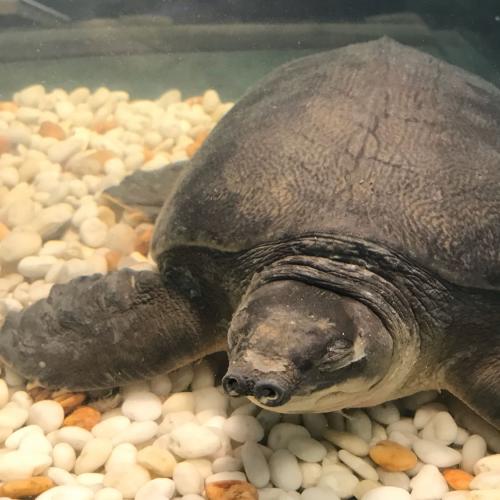 สมาชิกหมายเลข 5531270