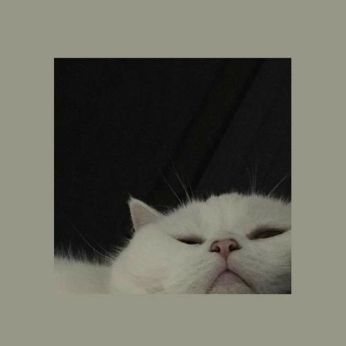 สมาชิกหมายเลข 5624111