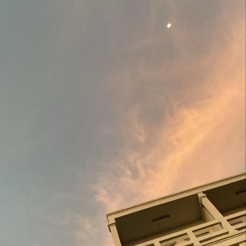 สมาชิกหมายเลข 6828679