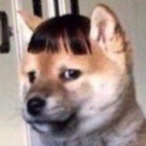 สมาชิกหมายเลข 7603951