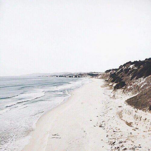 สมาชิกหมายเลข 4393634