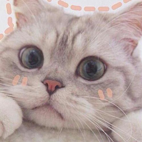 สมาชิกหมายเลข 5168217