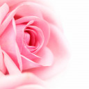 สมาชิกหมายเลข 5208769