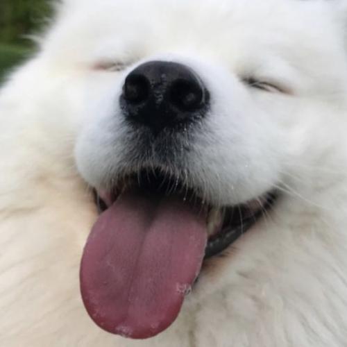 สมาชิกหมายเลข 5624386