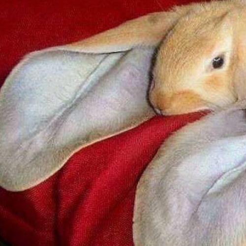 สมาชิกหมายเลข 5624940