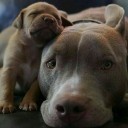 สมาชิกหมายเลข 1541420