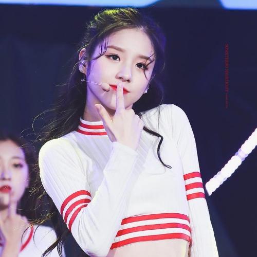 สมาชิกหมายเลข 4824563