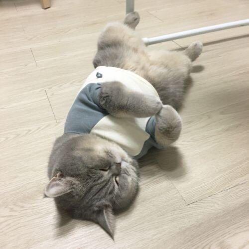 สมาชิกหมายเลข 5209232