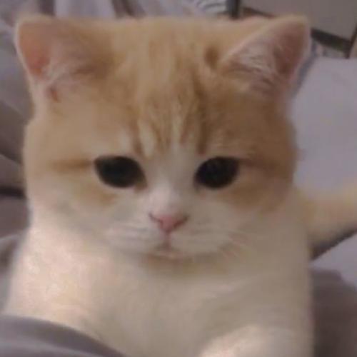 สมาชิกหมายเลข 6747939