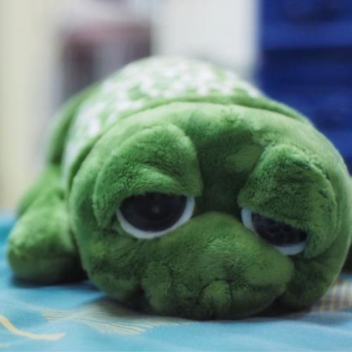 สมาชิกหมายเลข 2295012