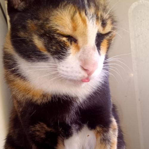 สมาชิกหมายเลข 7706555