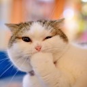 สมาชิกหมายเลข 3439927