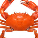 สมาชิกหมายเลข 3755374