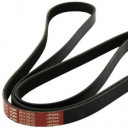 สมาชิกหมายเลข 5209651