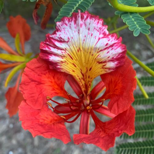 สมาชิกหมายเลข 1767114