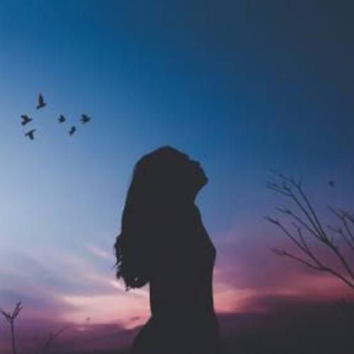 สมาชิกหมายเลข 3915412