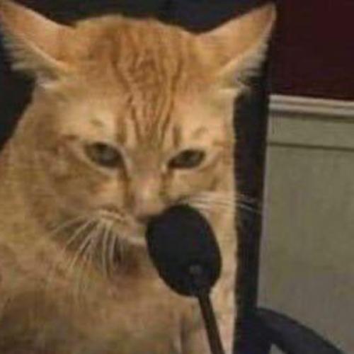 สมาชิกหมายเลข 5496127