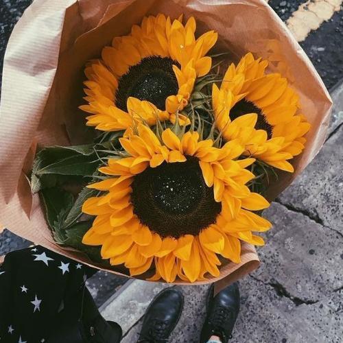 สมาชิกหมายเลข 6194108