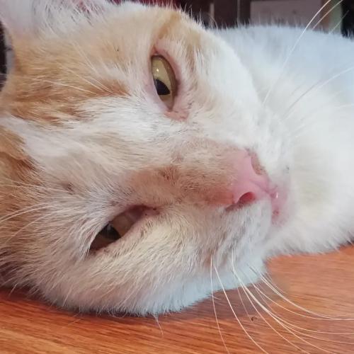 สมาชิกหมายเลข 6004616