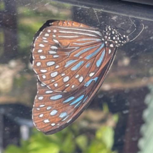 สมาชิกหมายเลข 7606009