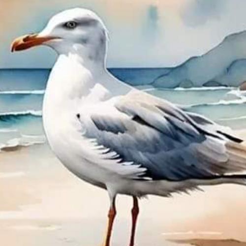 สมาชิกหมายเลข 7686327