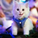 สมาชิกหมายเลข 4032421