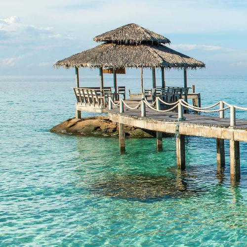 สมาชิกหมายเลข 4808586