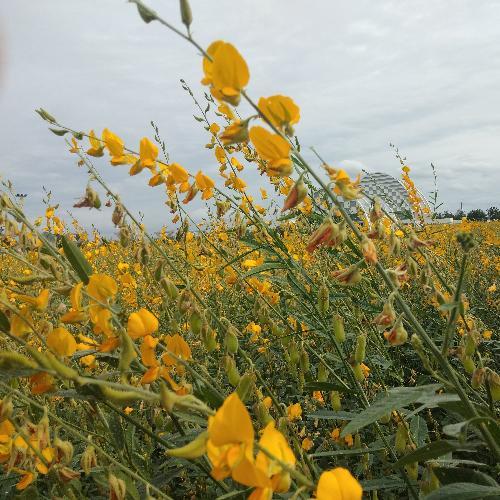 สมาชิกหมายเลข 4825072