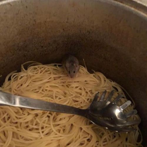 สมาชิกหมายเลข 5189752