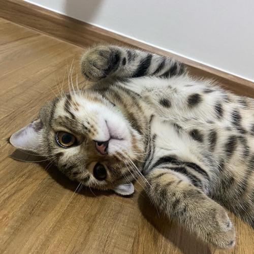 สมาชิกหมายเลข 7606368