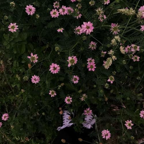 สมาชิกหมายเลข 7928753