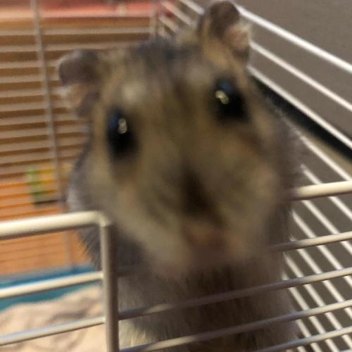 สมาชิกหมายเลข 8258946