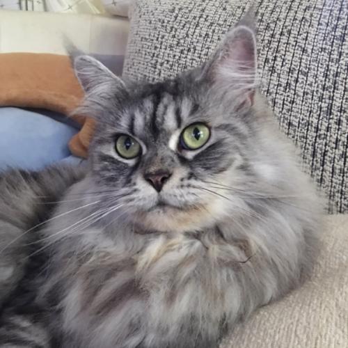 สมาชิกหมายเลข 8535677