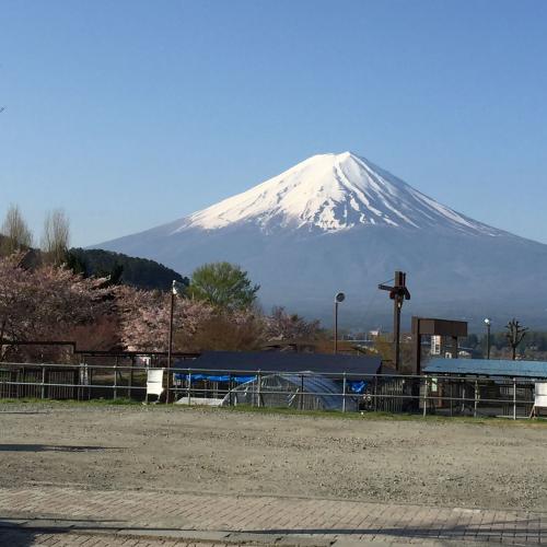 สมาชิกหมายเลข 1506689