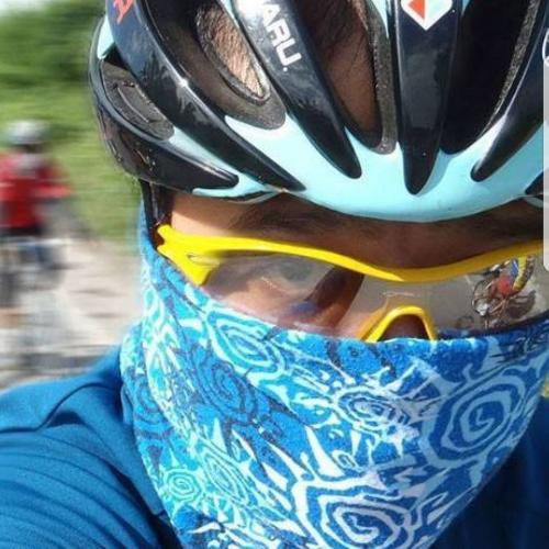 แพนด้าน้อย