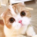 สมาชิกหมายเลข 4035675