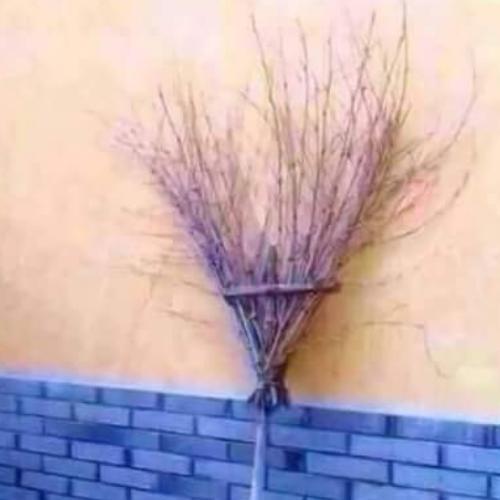 สมาชิกหมายเลข 4781597