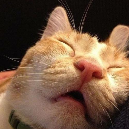 สมาชิกหมายเลข 5208250