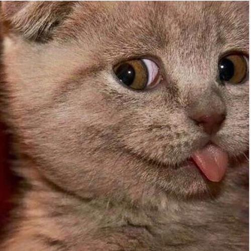 สมาชิกหมายเลข 5210117