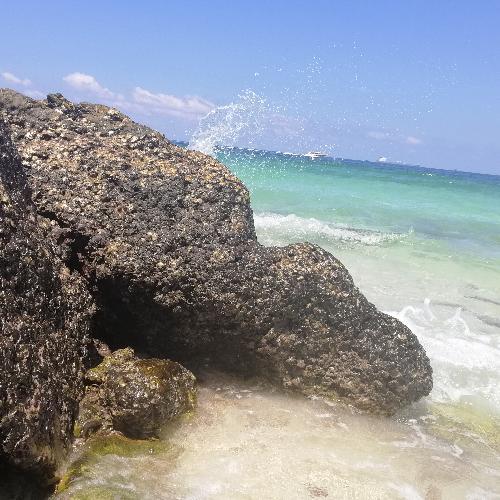 สมาชิกหมายเลข 5210353