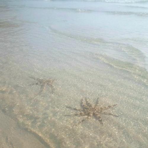 สมาชิกหมายเลข 5625923