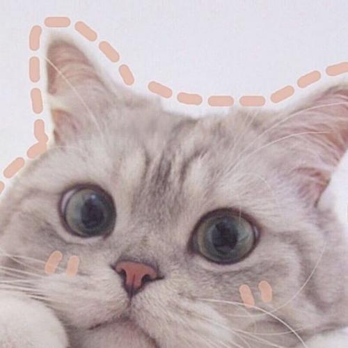 สมาชิกหมายเลข 5626507