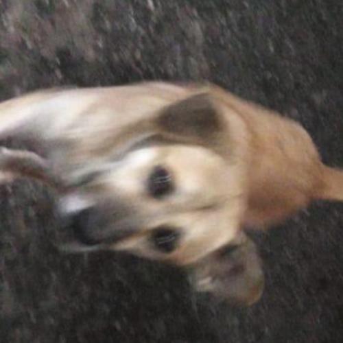 สมาชิกหมายเลข 4878326