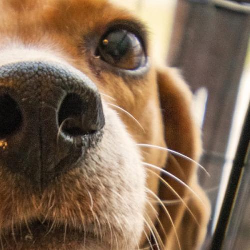 สมาชิกหมายเลข 6184285