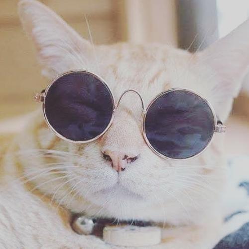 สมาชิกหมายเลข 6194183