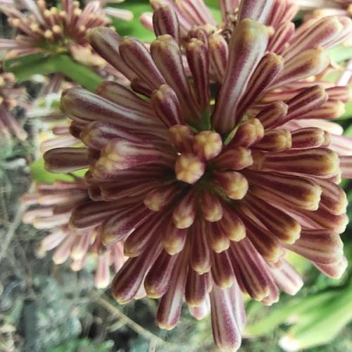 สมาชิกหมายเลข 6824613