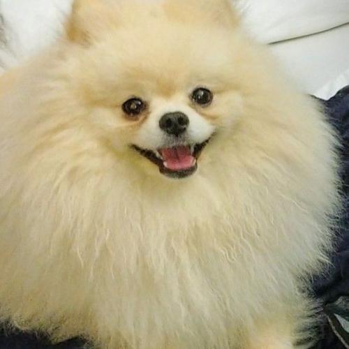 สมาชิกหมายเลข 6838438