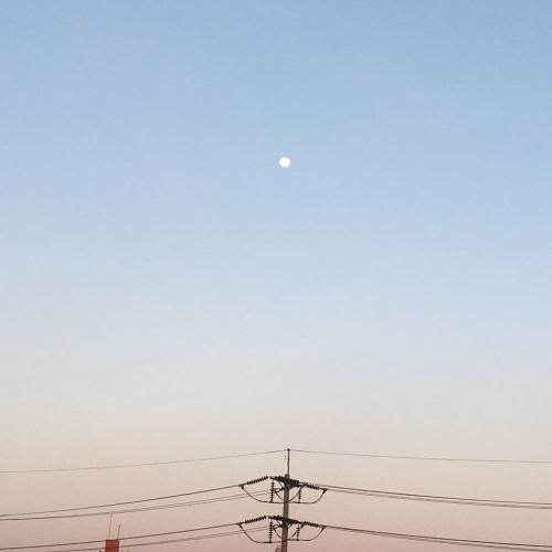 สมาชิกหมายเลข 6838688