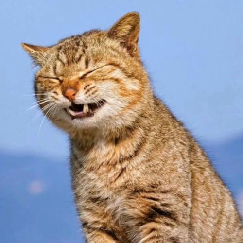 สมาชิกหมายเลข 7607325